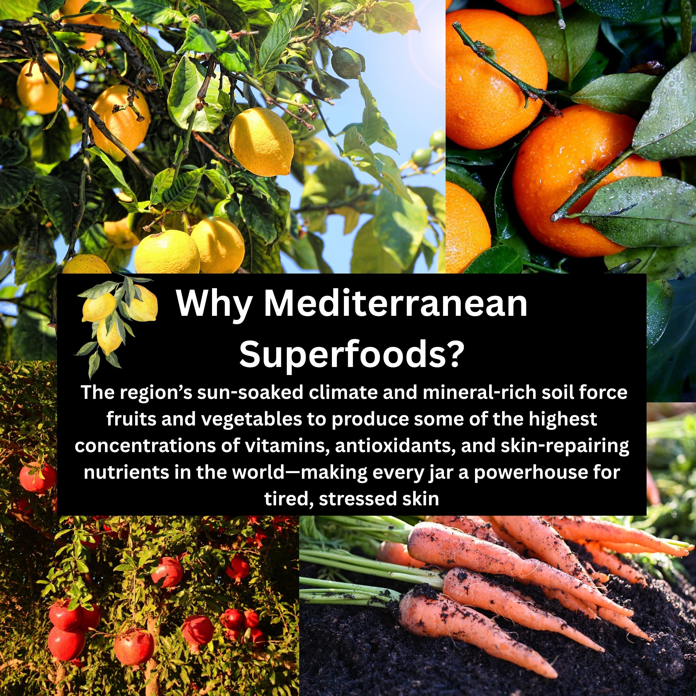 Full On Hydration Mattifying Face Moisturizer